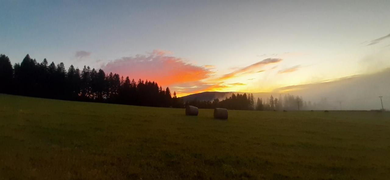 Hotel Penzion U Dračí skaly Svojse Esterno foto