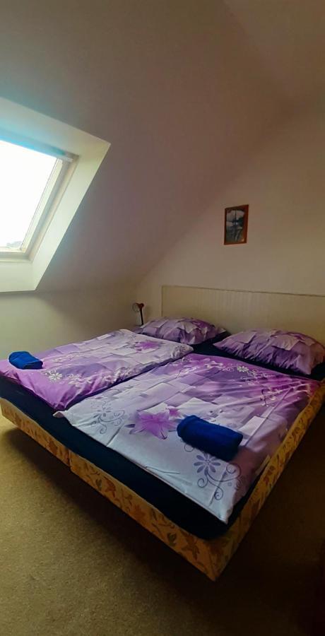 Hotel Penzion U Dračí skaly Svojse Esterno foto